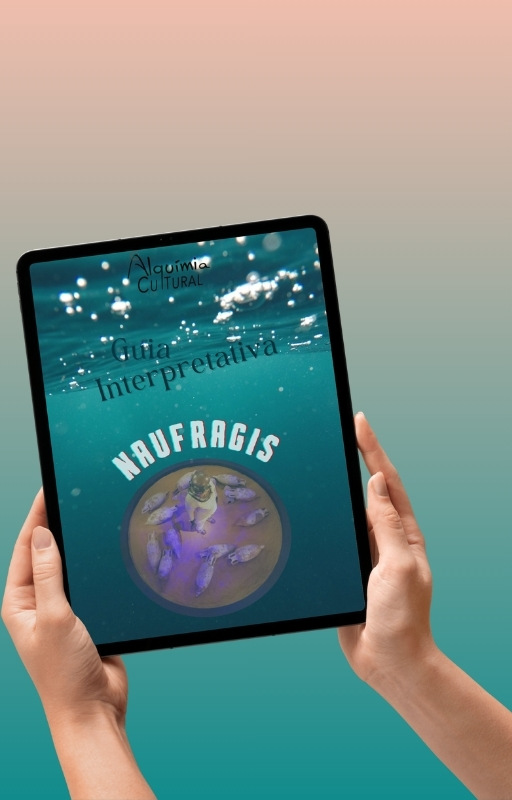 Naufragis Guia Arqueologia Submergida